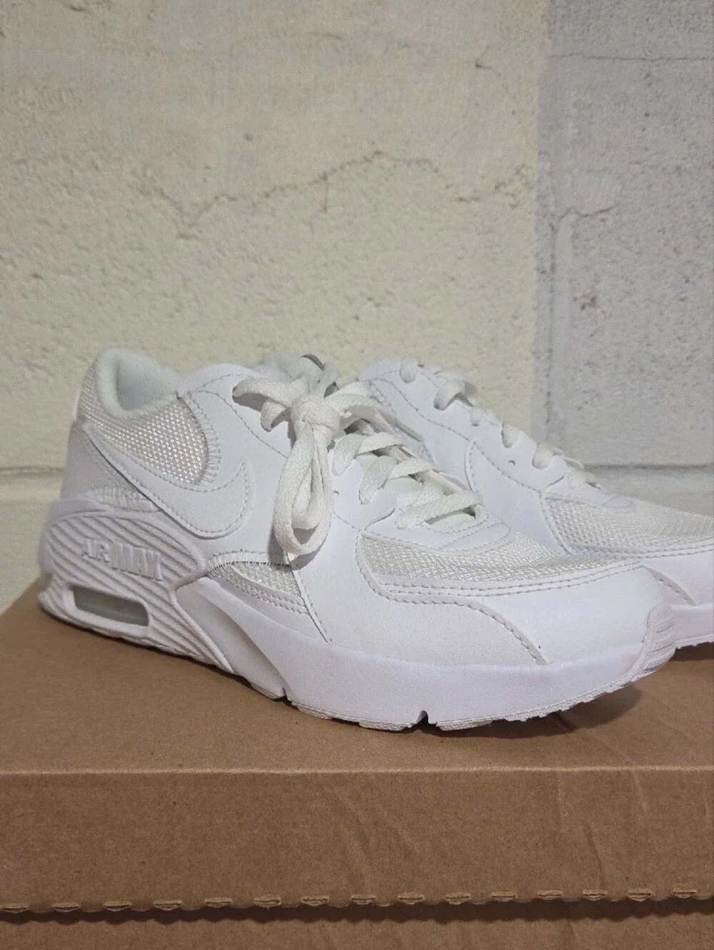 Nike White Air Max Low-Top Sneakers